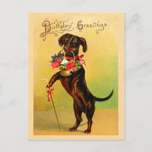 Cute Dachshund Birthday Postcard (Front)