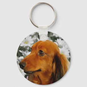 Cute Dachshund (Brown Long Haired) in Flowers Key Ring
