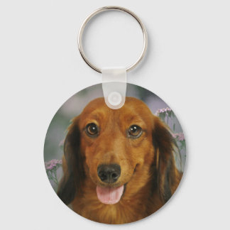 Cute Dachshund (Brown Long Haired) Wild Flowers Key Ring