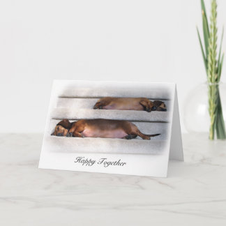 Cute Dachshund Card