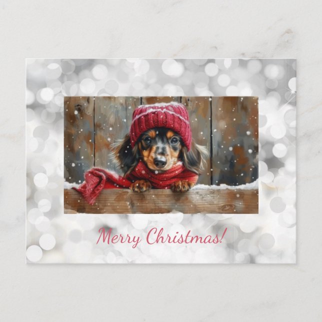 Cute Dachshund Christmas Postcard (Front)