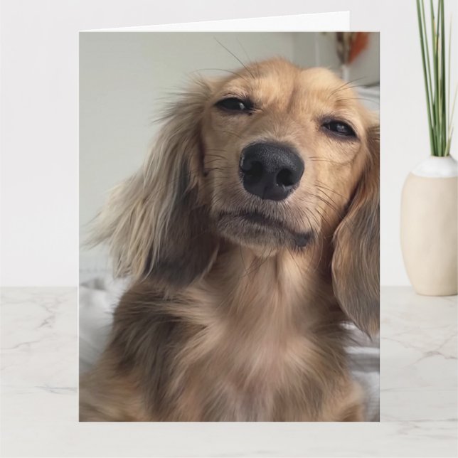Cute Dachshund Dog Birthday Card (Front)