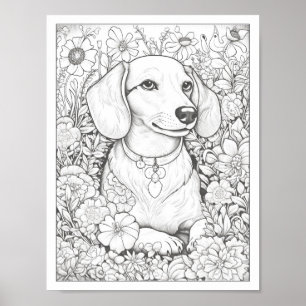 Cute Dachshund Dog Colouring Poster