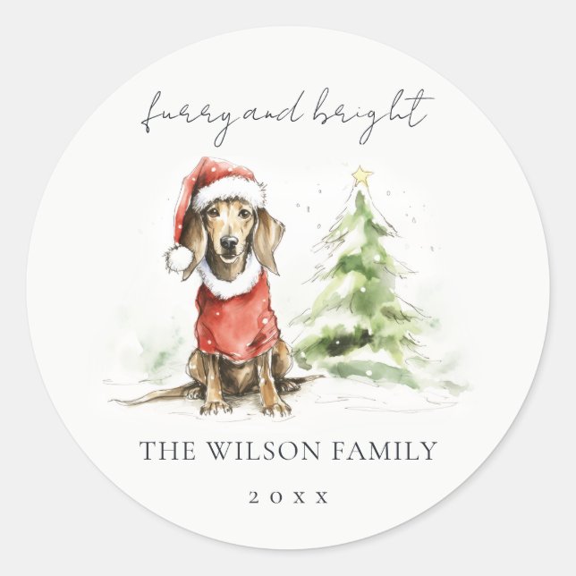 Cute Dachshund Dog Furry and Bright Christmas Classic Round Sticker (Front)
