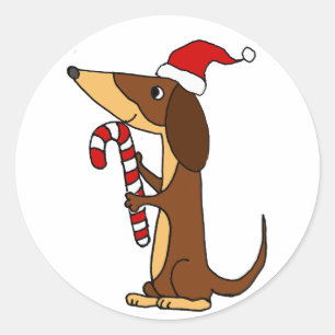 Cute Dachshund Dog in Santa hat Christmas Cartoon Classic Round Sticker