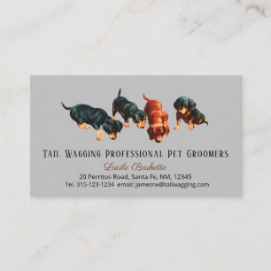 Cute Dachshund Doxie Puppies Pet Grooming Gray Business Card