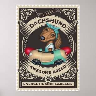 Cute Dachshund in Sausage Shaped Car Poster