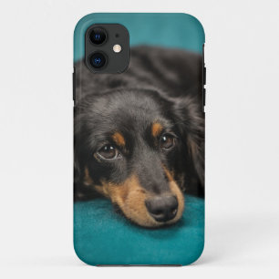 Cute Dachshund Laying Down iPhone 11 Case