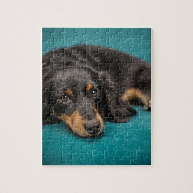 Cute Dachshund Laying Down Jigsaw Puzzle (Vertical)