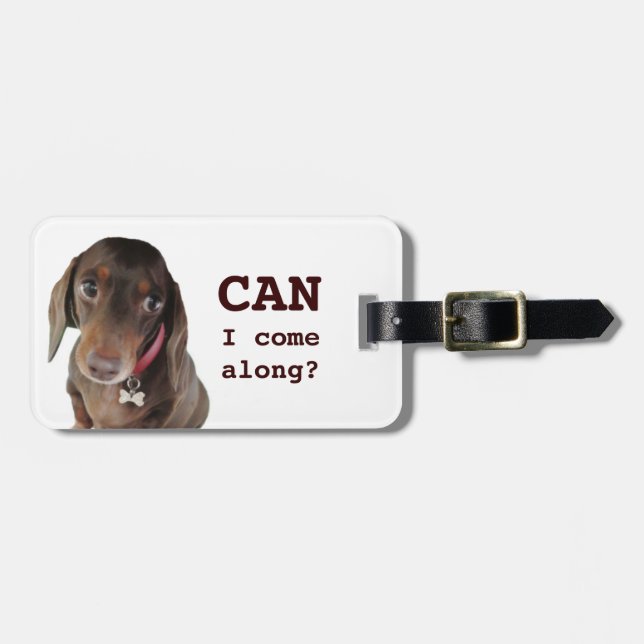 Cute dachshund luggage tag (Front Horizontal)