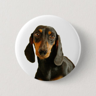 Cute Dachshund ( Miniature Brown Short Haired ) 6 Cm Round Badge