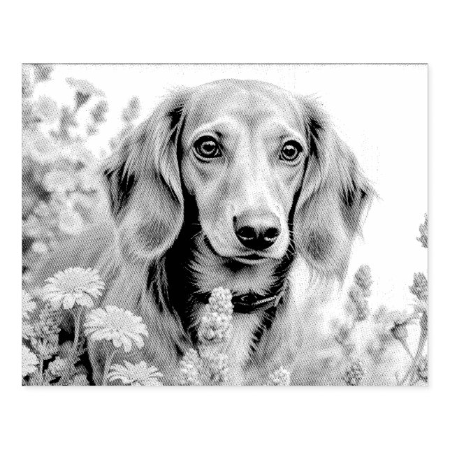 Cute dachshund on the farm rubber stamp (Imprint)