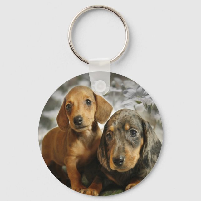 Cute Dachshund Puppies (Brown/Black) Key Ring (Front)
