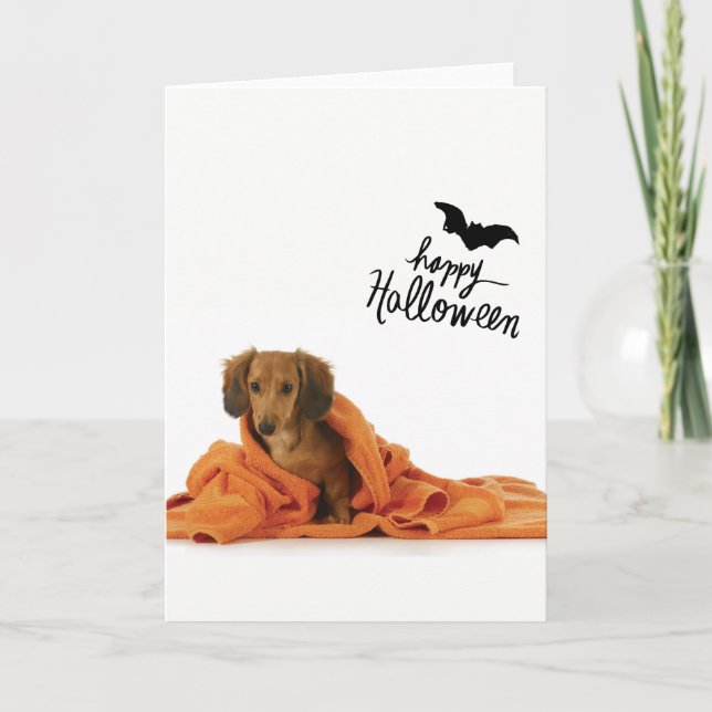 Cute Dachshund puppy in orange blanket Halloween Card (Front)