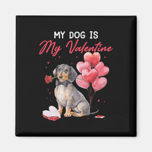 Cute Dachshund Puppy Valentine Owner My Dog Is My Magnet