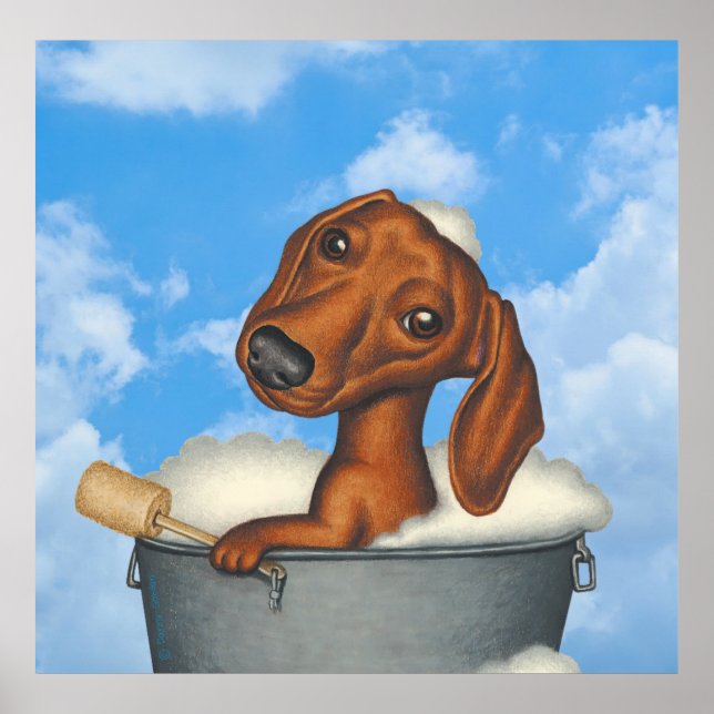 Cute Dachshund Taking Bubble Bath Outside Poster (Front)
