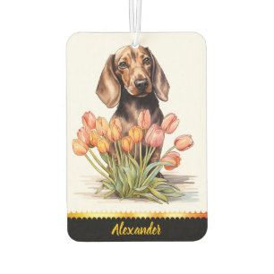 Cute Dachshund with tulips bringing joy indoors Car Air Freshener