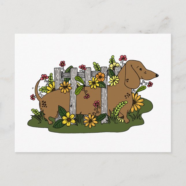 Cute Dachsund Postcard or Mini Art Print (Front)