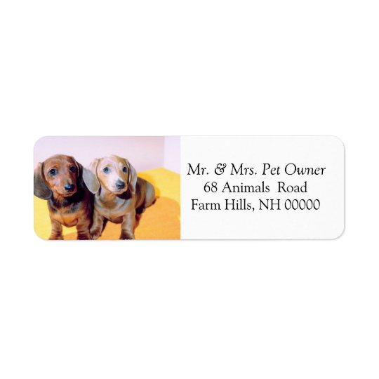 Cute Dachsund Puppies Return Address Mail Stickers Return Address Label