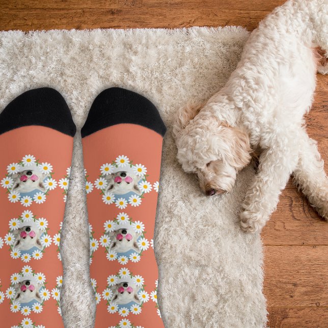 Cute Daisies Custom Photo Pet Dog Lover Pink  Socks (Creator Uploaded)