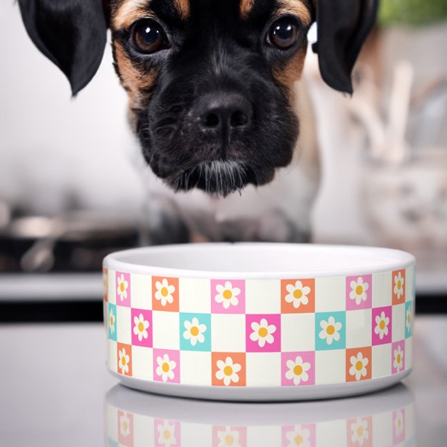Cute Daisy Chequerboard Simple Colourful Pet Bowl (Cute dog bowl with colorful daisy chequerboard pattern)
