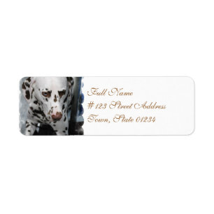 Cute Dalmatian Address Labels