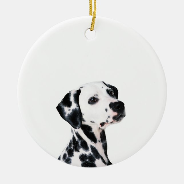 Cute Dalmatian Dog Ceramic Tree Decoration (Front)