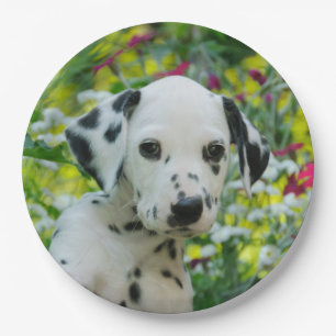 Cute Dalmatian Dog Cute Puppy Portrait Happy Party Paper Plate