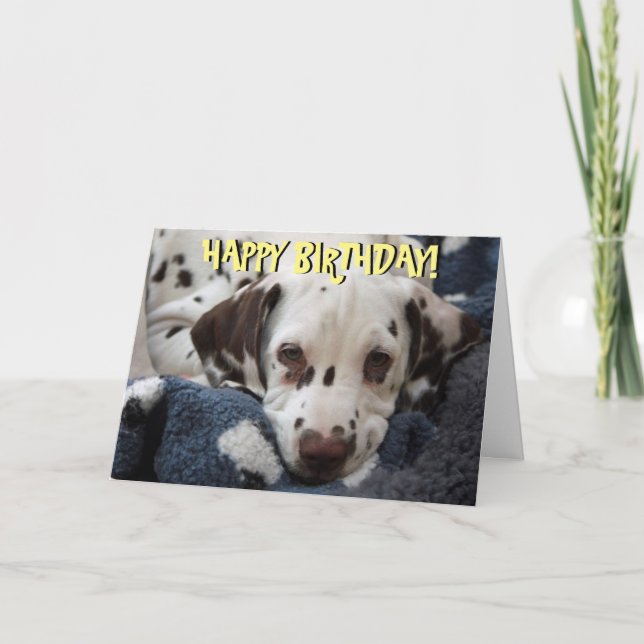 Cute dalmatian puppy birthday card (Front)