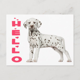 Cute Dalmatian Puppy Dog Hello Thinking of You Postcard