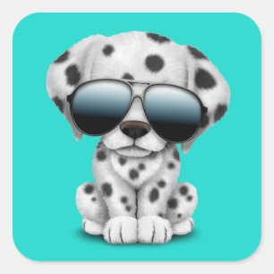 Cute Dalmatian Puppy Dog Wearing Sunglasses Square Sticker