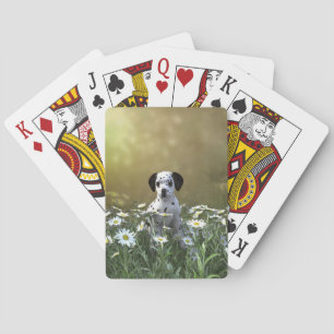 Cute Dalmatian Puppy in Daisies Playing Cards
