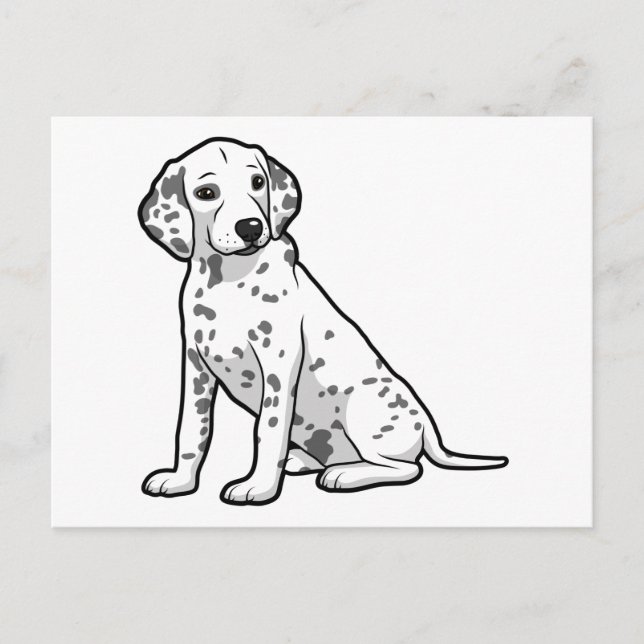 Cute Dalmatian Puppy Postcard (Front)