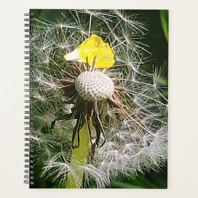 Cute dandelion planner (Front)