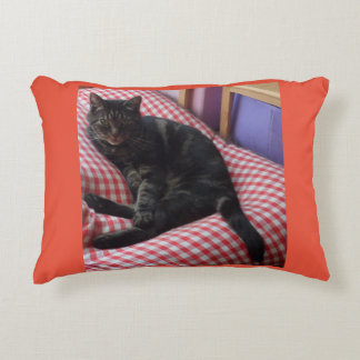 Cute Dave Accent Cushion
