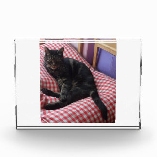 Cute Dave Acrylic Photo Block