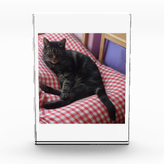 Cute Dave Acrylic Photo Block