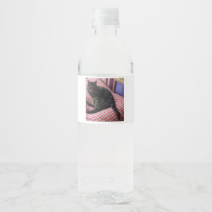 Cute Dave Bottle Label