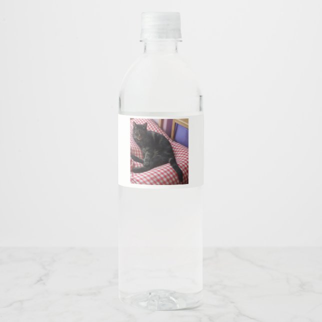 Cute Dave Bottle Label (Front)
