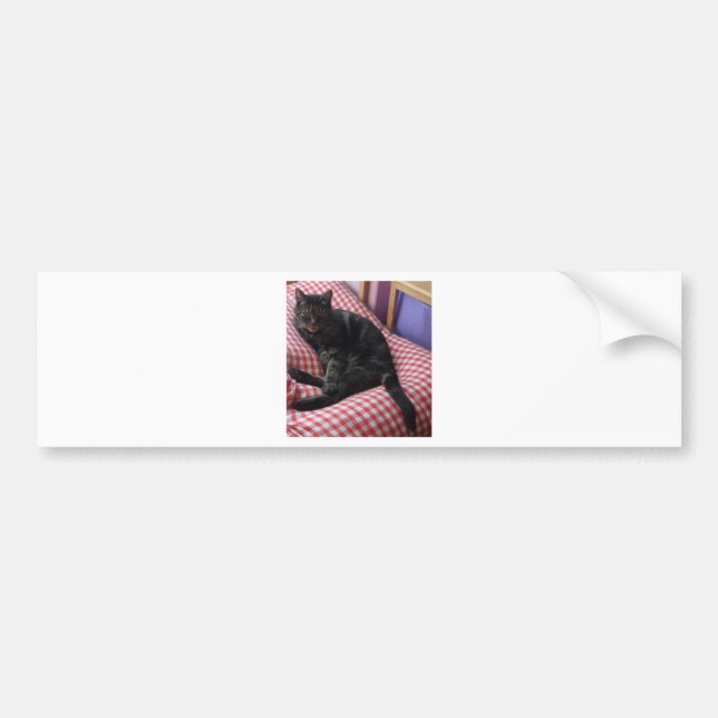 Cute Dave Bumper Sticker (Front)