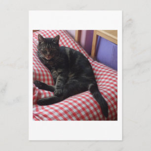 Cute Dave Enclosure Card