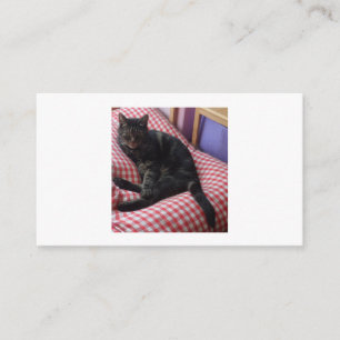 Cute Dave Enclosure Card