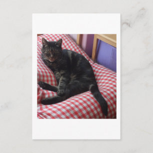 Cute Dave Enclosure Card