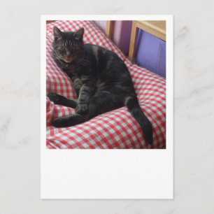 Cute Dave Enclosure Card