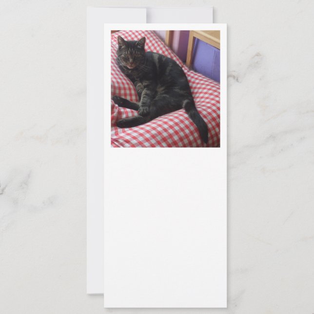 Cute Dave Flat Save The Date (Front)