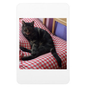 Cute Dave Flexible Photo Magnet