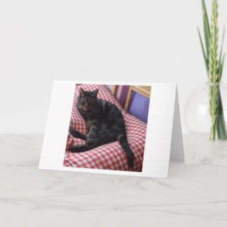 Cute Dave Greeting Card