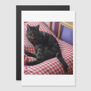 Cute Dave Magnetic Invitation