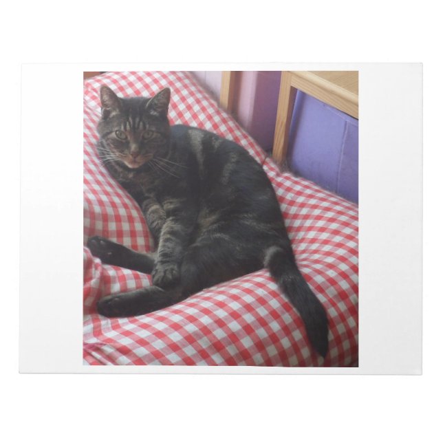 Cute Dave Notepad (Front)