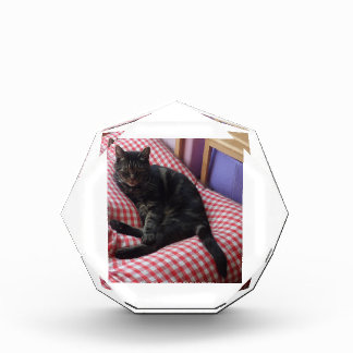 Cute Dave Octagonal Photo Block